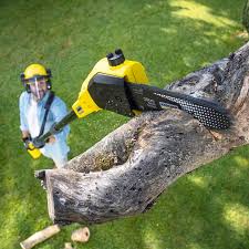 Best Landscape Design and Installation  in Coal Valley, IL