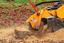 Best Tree Cabling and Bracing  in Coal Valley, IL